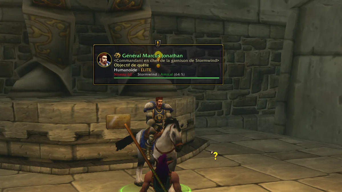 The Wanderer label above a quest giver, with round portrait, level, role and quest objectives